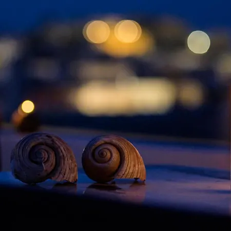 公寓 Golden Rose Elegant Vacation *